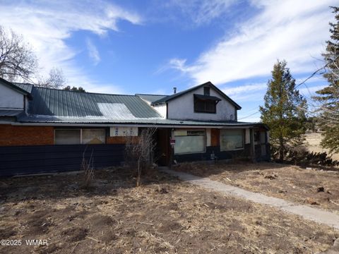 Tiny photo for 22 County Road 2315, Nutrioso, AZ 85932 (MLS # 253437)