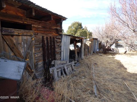 Tiny photo for 22 County Road 2315, Nutrioso, AZ 85932 (MLS # 253437)
