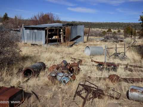Tiny photo for 22 County Road 2315, Nutrioso, AZ 85932 (MLS # 253437)