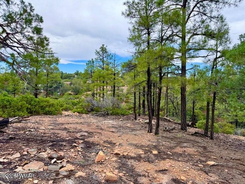 Tiny photo for 6292 Fawn Lane, Show Low, AZ 85901 (MLS # 263162)