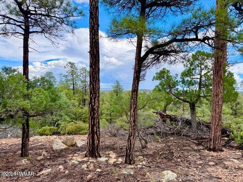 Tiny photo for 6292 Fawn Lane, Show Low, AZ 85901 (MLS # 263162)