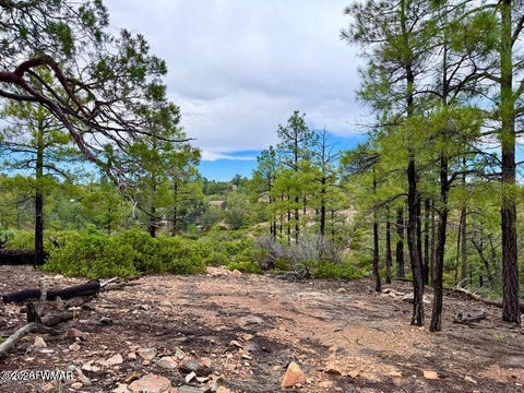 Tiny photo for 6292 Fawn Lane, Show Low, AZ 85901 (MLS # 263162)