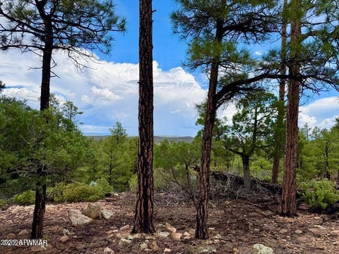 Tiny photo for 6292 Fawn Lane, Show Low, AZ 85901 (MLS # 263162)