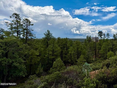 Tiny photo for 6292 Fawn Lane, Show Low, AZ 85901 (MLS # 263162)