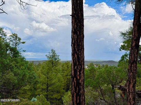 Tiny photo for 6292 Fawn Lane, Show Low, AZ 85901 (MLS # 263162)