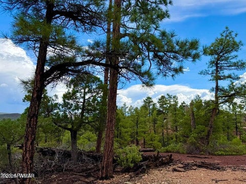 Tiny photo for 6292 Fawn Lane, Show Low, AZ 85901 (MLS # 263162)