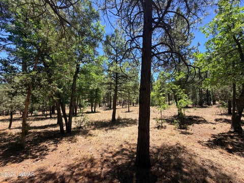 Tiny photo for 4215 Apache Drive, Happy Jack, AZ 86024 (MLS # 263096)