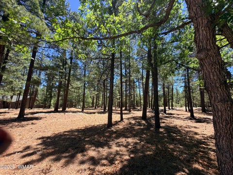 Tiny photo for 4215 Apache Drive, Happy Jack, AZ 86024 (MLS # 263096)