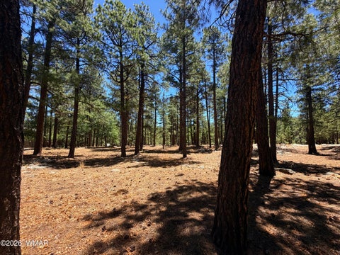Tiny photo for 4215 Apache Drive, Happy Jack, AZ 86024 (MLS # 263096)