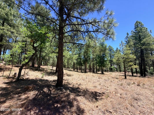 4215 APACHE DR, HAPPY JACK, AZ 86024 - Image 2d52770d43a91afaa4eaa37a9c87dce0/2316413945