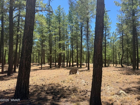 Tiny photo for 4215 Apache Drive, Happy Jack, AZ 86024 (MLS # 263096)