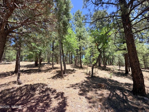 Tiny photo for 4215 Apache Drive, Happy Jack, AZ 86024 (MLS # 263096)