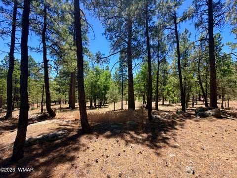 Tiny photo for 4215 Apache Drive, Happy Jack, AZ 86024 (MLS # 263096)