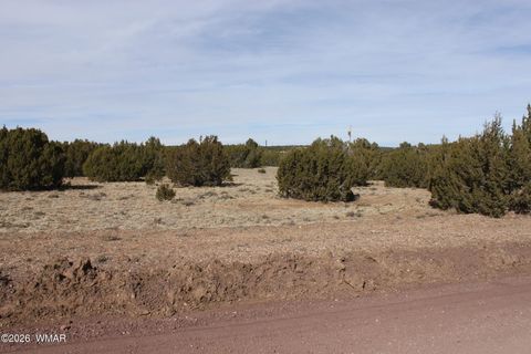 Photo of 53 County Road 3035, Concho, AZ 85924 (MLS # 259083)