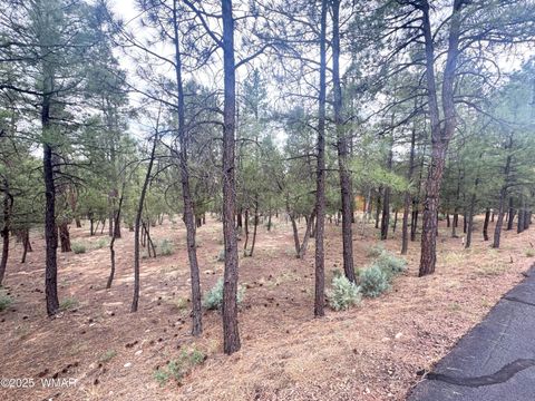 Tiny photo for 1400 E Pine Oaks Drive, Show Low, AZ 85901 (MLS # 257373)
