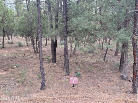 Tiny photo for 1400 E Pine Oaks Drive, Show Low, AZ 85901 (MLS # 257373)