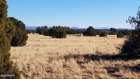 Tiny photo for 7687 Arroyo Plata Drive, Shumway, AZ 85901 (MLS # 248613)