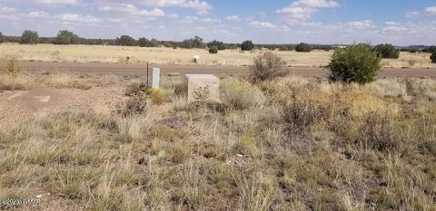 Tiny photo for 7687 Arroyo Plata Drive, Shumway, AZ 85901 (MLS # 248613)