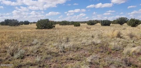 Tiny photo for 7687 Arroyo Plata Drive, Shumway, AZ 85901 (MLS # 248613)