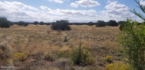 Tiny photo for 7687 Arroyo Plata Drive, Shumway, AZ 85901 (MLS # 248613)