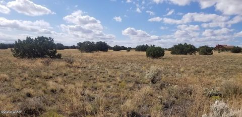 Tiny photo for 7687 Arroyo Plata Drive, Shumway, AZ 85901 (MLS # 248613)