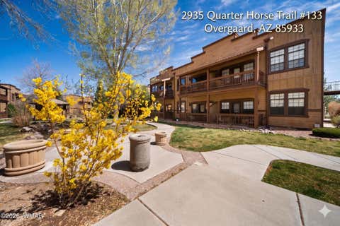 Tiny photo for 2395 Quarter Horse Trail, Overgaard, AZ 85933 (MLS # 261683)