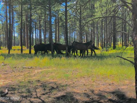 Tiny photo for 2409 Quarter Horse Trail #227, Overgaard, AZ 85933 (MLS # 261293)