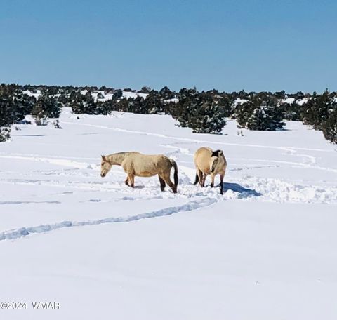 Tiny photo for 2409 Quarter Horse Trail #227, Overgaard, AZ 85933 (MLS # 261293)