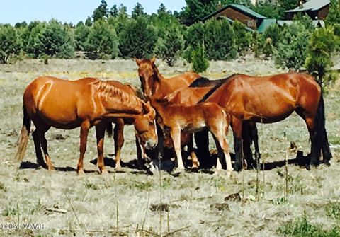 Tiny photo for 2409 Quarter Horse Trail #227, Overgaard, AZ 85933 (MLS # 261293)