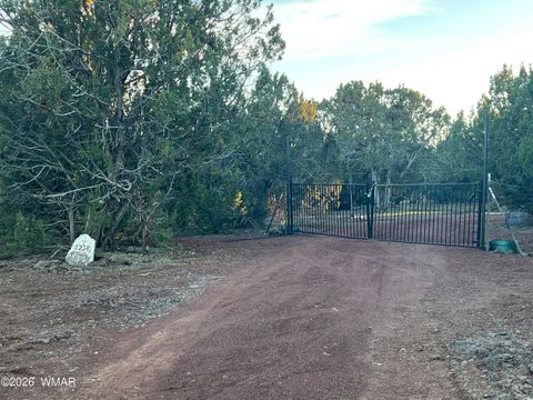 Tiny photo for 1258 Pierson Boulevard, Show Low, AZ 85901 (MLS # 259208)