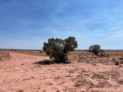Photo of 8191 E Concho Highway Parcel E Hwy #Parcel E, Snowflake, AZ 85937 (MLS # 256802)