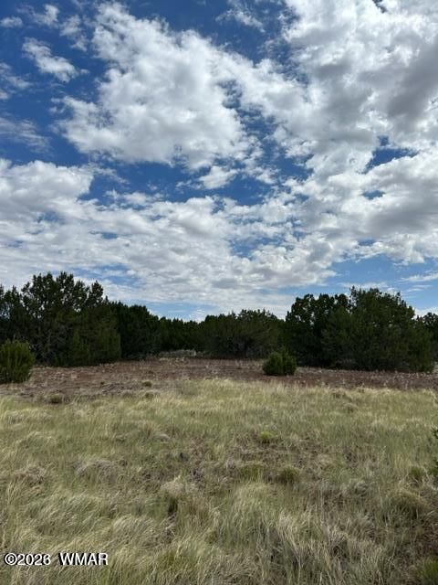Photo of TBD CR N3109 & N3102, Vernon, AZ 85940 (MLS # 259663)