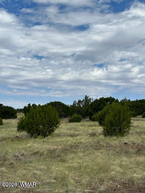 Tiny photo for TBD CR N3109 & N3102, Vernon, AZ 85940 (MLS # 259663)