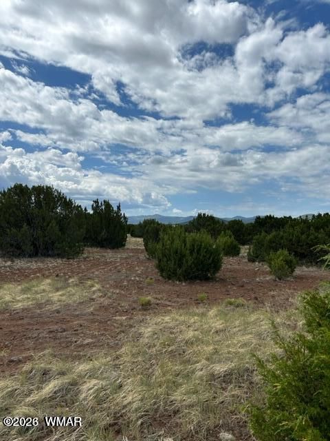 Tiny photo for TBD CR N3109 & N3102, Vernon, AZ 85940 (MLS # 259663)