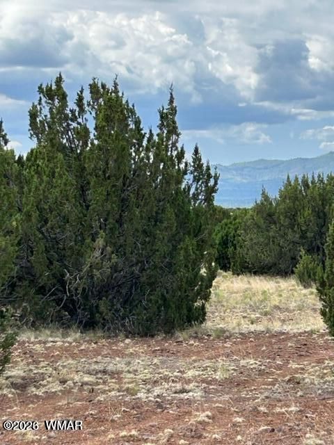 Tiny photo for TBD CR N3109 & N3102, Vernon, AZ 85940 (MLS # 259663)