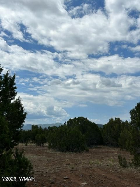 Tiny photo for TBD CR N3109 & N3102, Vernon, AZ 85940 (MLS # 259663)