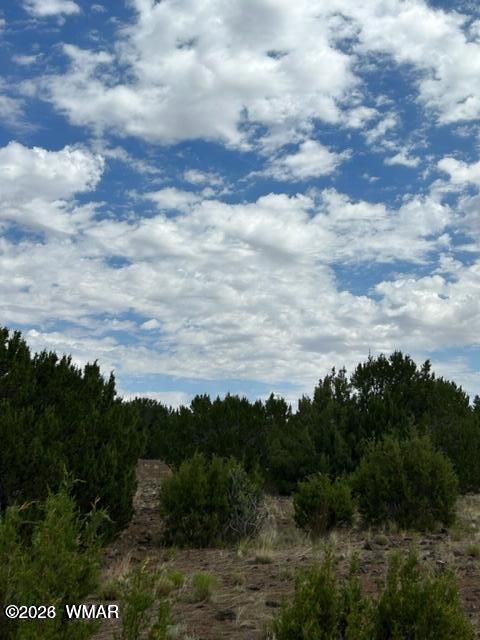 Tiny photo for TBD CR N3109 & N3102, Vernon, AZ 85940 (MLS # 259663)