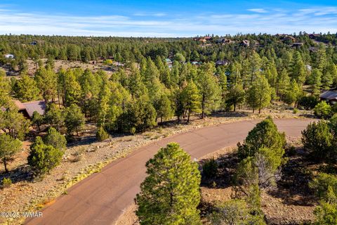 Tiny photo for 2794 SkyHawk Drive, Overgaard, AZ 85933 (MLS # 256313)