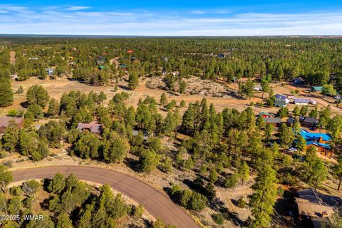 Tiny photo for 2794 SkyHawk Drive, Overgaard, AZ 85933 (MLS # 256313)