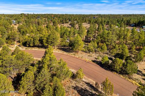Tiny photo for 2794 SkyHawk Drive, Overgaard, AZ 85933 (MLS # 256313)