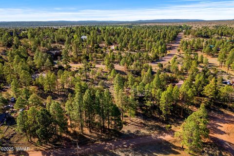 Tiny photo for 2794 SkyHawk Drive, Overgaard, AZ 85933 (MLS # 256313)