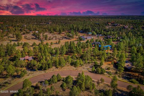 Photo of 2794 SkyHawk Drive, Overgaard, AZ 85933 (MLS # 256313)
