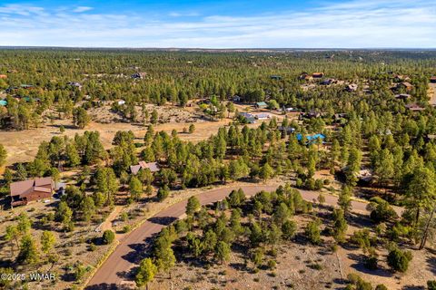 Tiny photo for 2794 SkyHawk Drive, Overgaard, AZ 85933 (MLS # 256313)