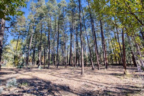Photo of 040D VALLERY Lane, Lakeside, AZ 85929 (MLS # 257764)