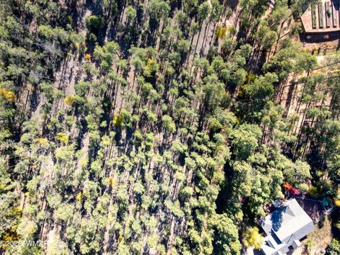 Tiny photo for 040D VALLERY Lane, Lakeside, AZ 85929 (MLS # 257764)