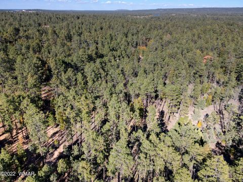 Tiny photo for 040D VALLERY Lane, Lakeside, AZ 85929 (MLS # 257764)