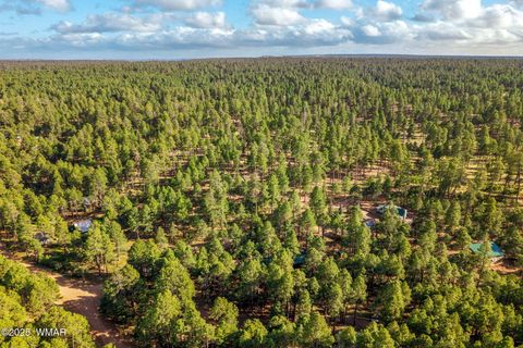 Tiny photo for 2499 Canyon Drive, Forest Lakes, AZ 85931 (MLS # 256280)