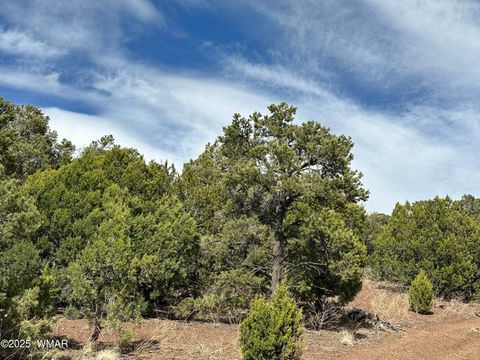 Tiny photo for TBD N3135, Vernon, AZ 85940 (MLS # 258098)