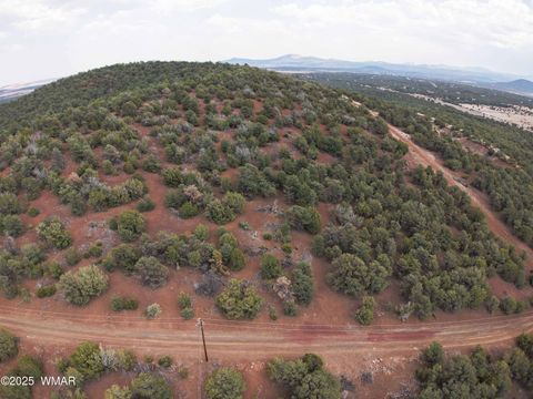 Tiny photo for TBD N3135, Vernon, AZ 85940 (MLS # 258098)