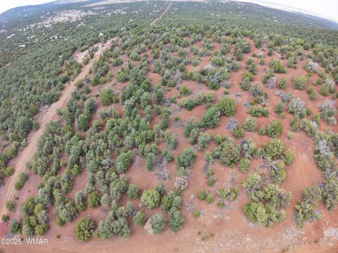 Tiny photo for TBD N3135, Vernon, AZ 85940 (MLS # 258098)